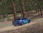 Euro Rally Champion