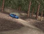 Euro Rally Champion