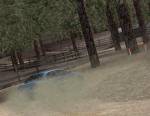 Euro Rally Champion