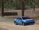 Euro Rally Champion