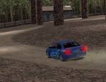 Euro Rally Champion