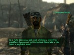 Fallout 3
