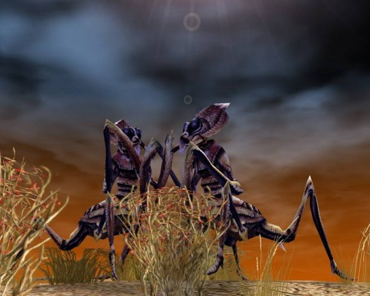 SpellForce: Shadow of the Phoenix