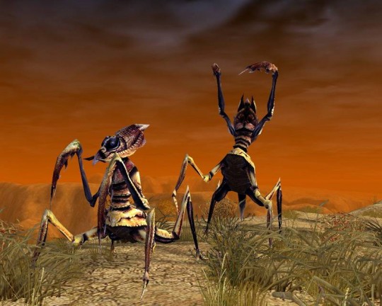 SpellForce: Shadow of the Phoenix