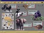 National Geographic Maps