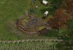 American Conquest: Divided Nation