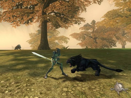 The Chronicles of Spellborn