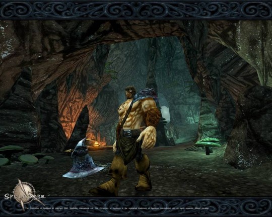 The Chronicles of Spellborn