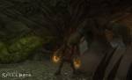The Chronicles of Spellborn
