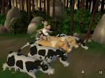 Bone: The Great Cow Race