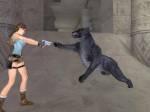 Tomb Raider Anniversary