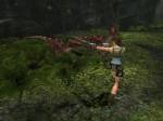 Tomb Raider Anniversary