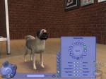 The Sims 2: Pets
