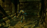 Sacred 2: Fallen Angel