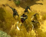 Sacred 2: Fallen Angel