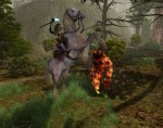 Sacred 2: Fallen Angel