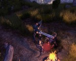 Sacred 2: Fallen Angel