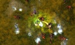 Sacred 2: Fallen Angel