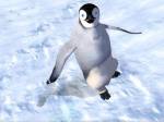 Happy Feet