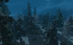 Winterheart's Guild