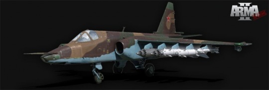 ArmA 2