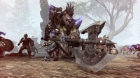 Kingdom Under Fire II
