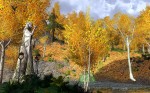 Lord of the Rings Online: Mines of Moria