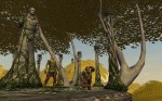 Lord of the Rings Online: Mines of Moria
