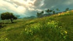 Guild Wars 2