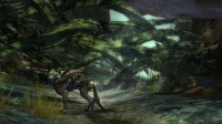 Guild Wars 2