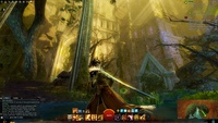 Guild Wars 2