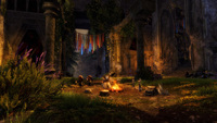 Guild Wars 2