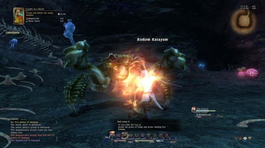 Final Fantasy XIV Online
