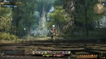 Final Fantasy XIV Online