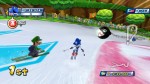Mario & Sonic at the Olympic Winter Games (Wii)