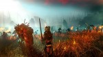 The Witcher 2: Assassins of Kings