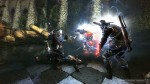 The Witcher 2: Assassins of Kings