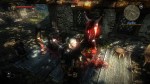 The Witcher 2: Assassins of Kings