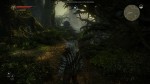 The Witcher 2: Assassins of Kings