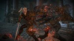 The Witcher 2: Assassins of Kings