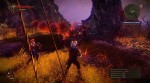 The Witcher 2: Assassins of Kings
