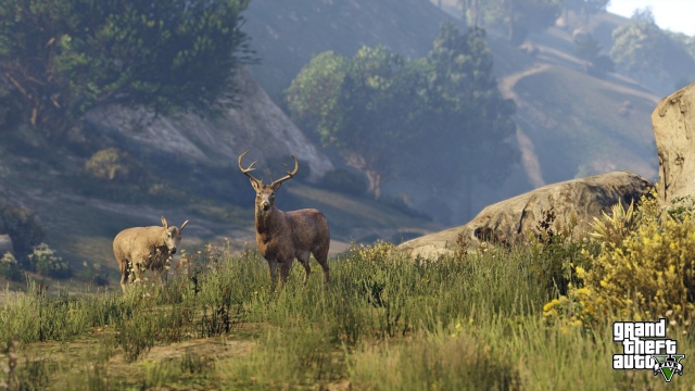 Grand Theft Auto V