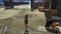 Grand Theft Auto V