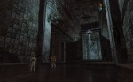 EverQuest II: Sentinel's Fate