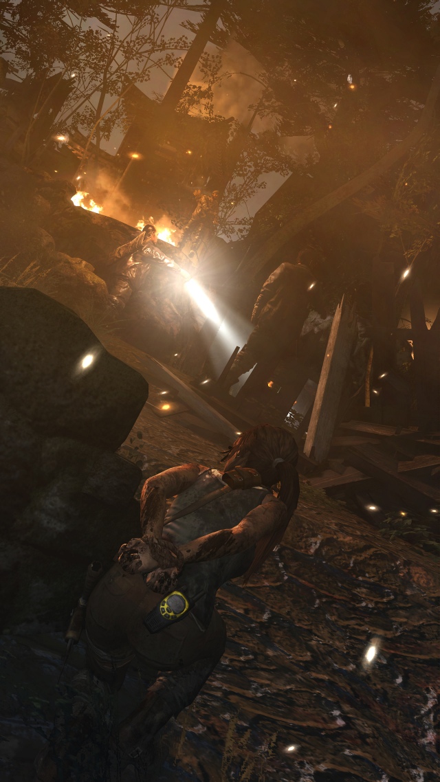 Tomb Raider (2013)