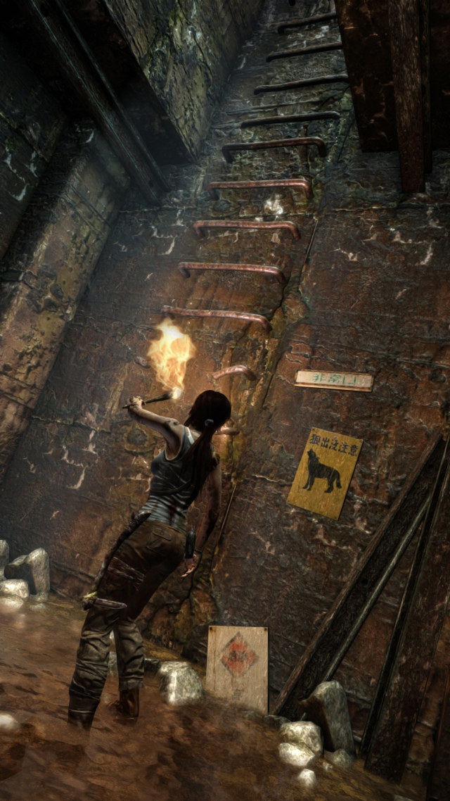 Tomb Raider (2013)