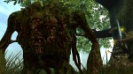 Faery: Legends of Avalon