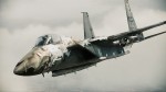 Ace Combat Assault Horizon