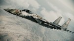 Ace Combat Assault Horizon
