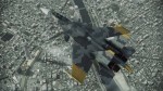 Ace Combat Assault Horizon